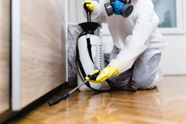Best Emergency Pest Control  in Hutchinson, KS