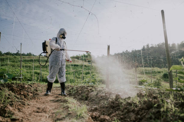 Best Ant Control Services  in Hutchinson, KS