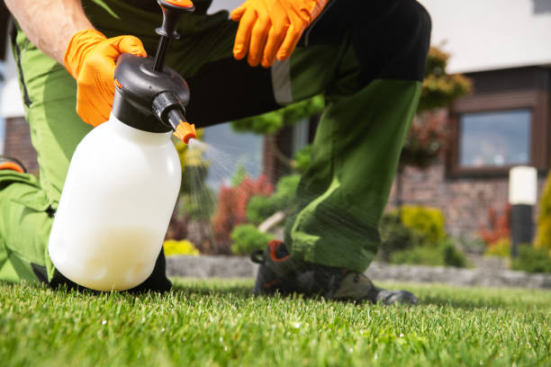 Best Pest Removal Services  in Hutchinson, KS