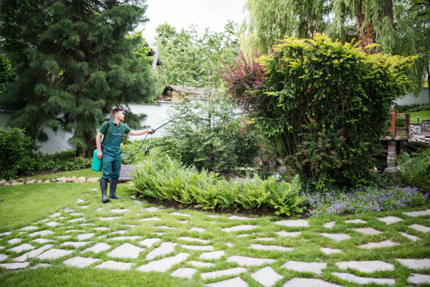 Best Residential Pest Control  in Hutchinson, KS