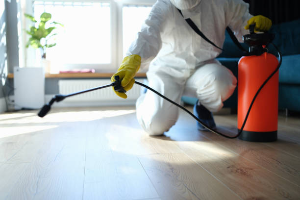 Best Flea Control Services  in Hutchinson, KS