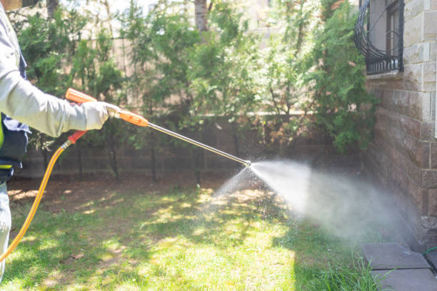 Best Bed Bug Extermination  in Hutchinson, KS