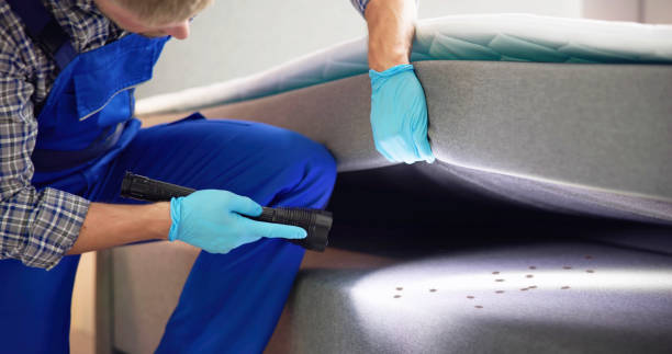 Trusted Hutchinson, KS Pest Control Experts