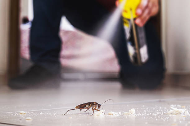 Best Pest Removal Services  in Hutchinson, KS